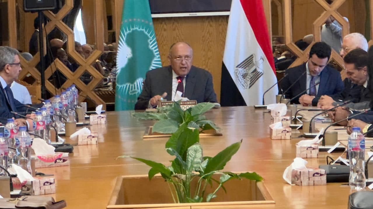 وزير الخارجية يلتقي السفراء الأفارقة بمناسبة يوم إفريقيا 