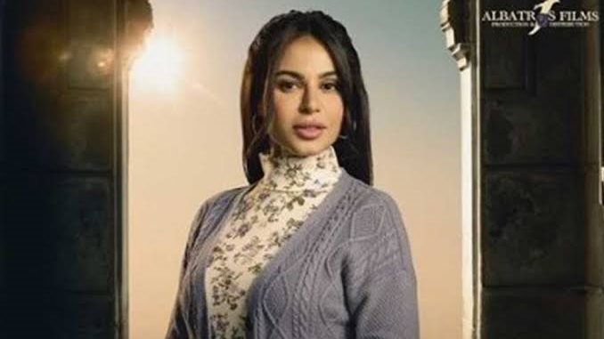 نسرين أمين 