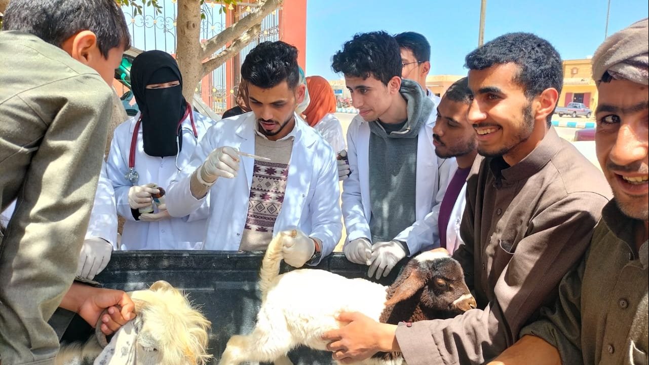 قافلة بيطرية بالنجيلة