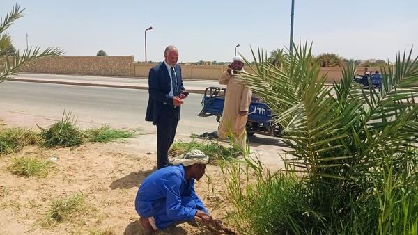 رئيس مدينة سيوة يتابع اعمال النظافة والتجميل