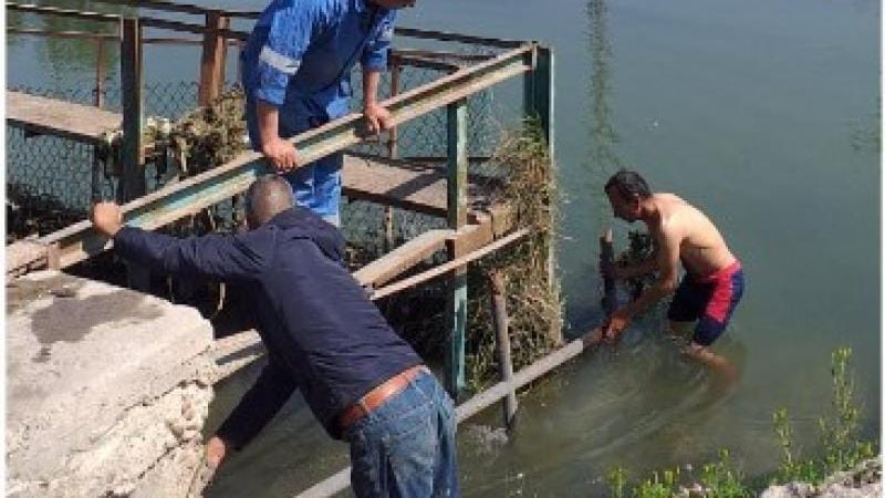 حملة التطهير 