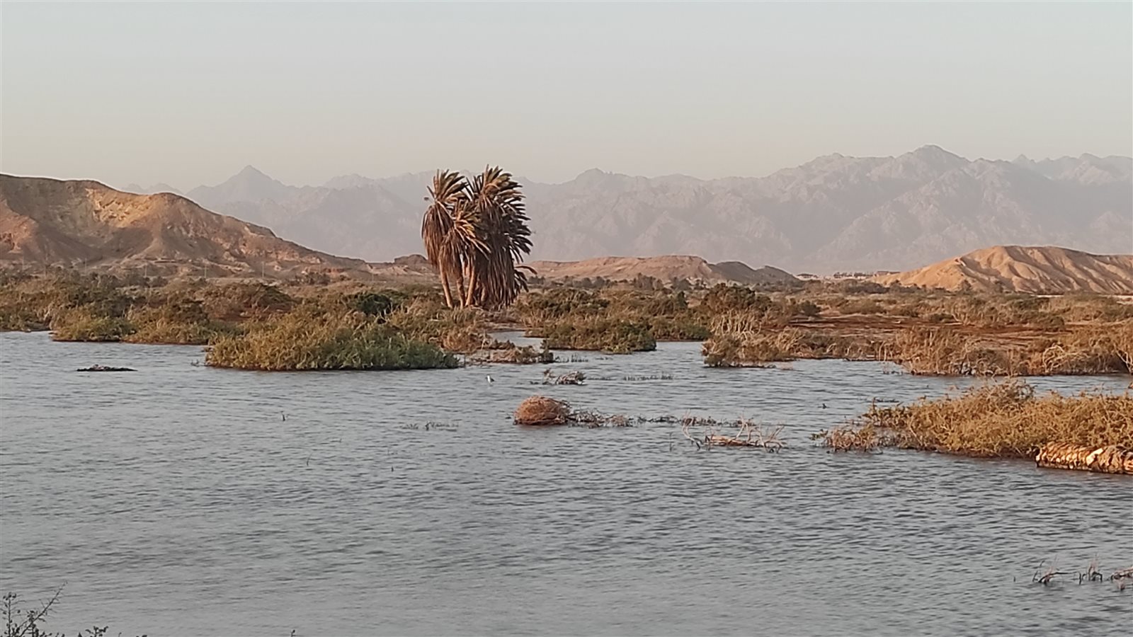 بحيرات طريق حمام موسي 