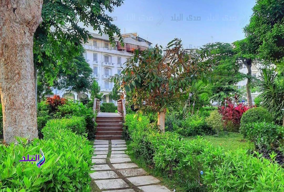 FB_IMG_1684399339197