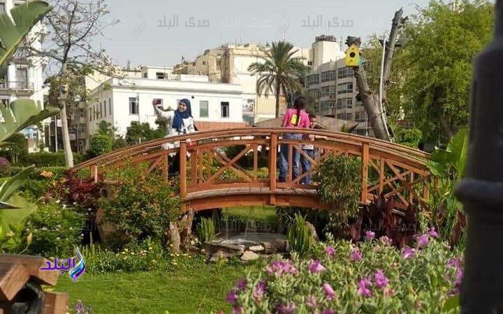 FB_IMG_1684399459664