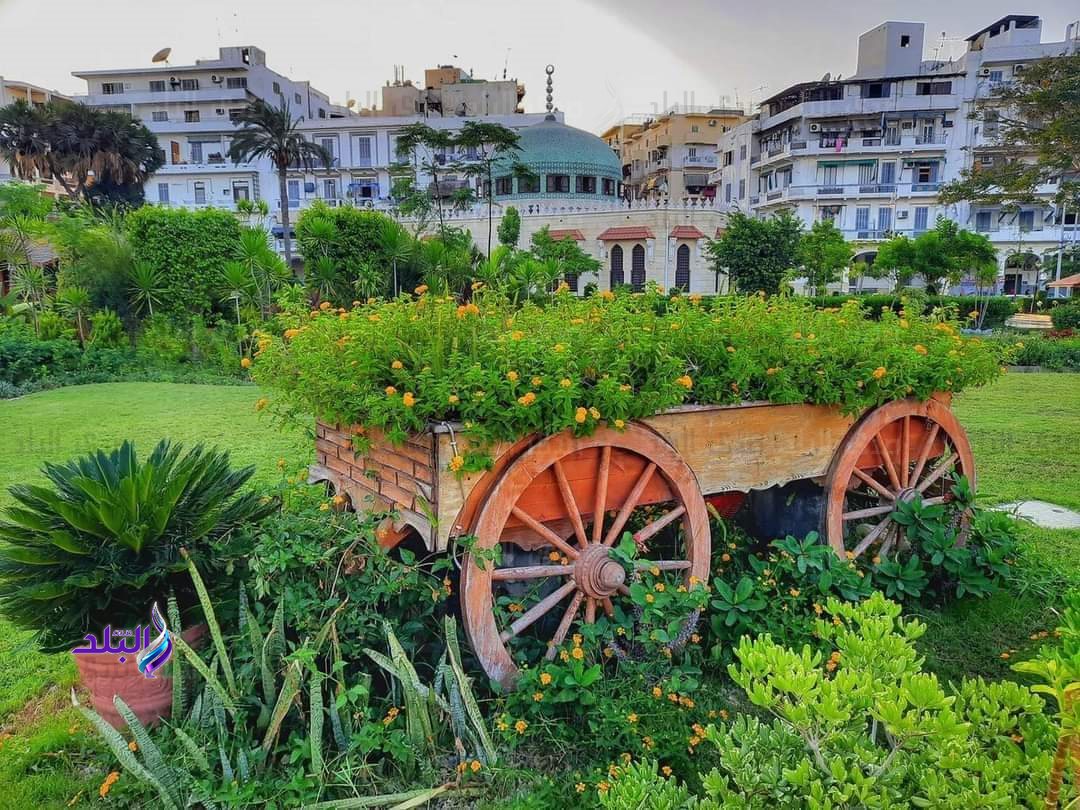 FB_IMG_1684399332345