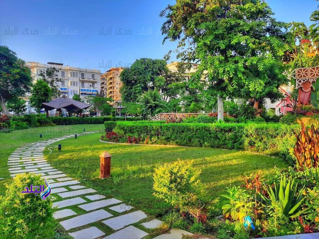 FB_IMG_1684399334465