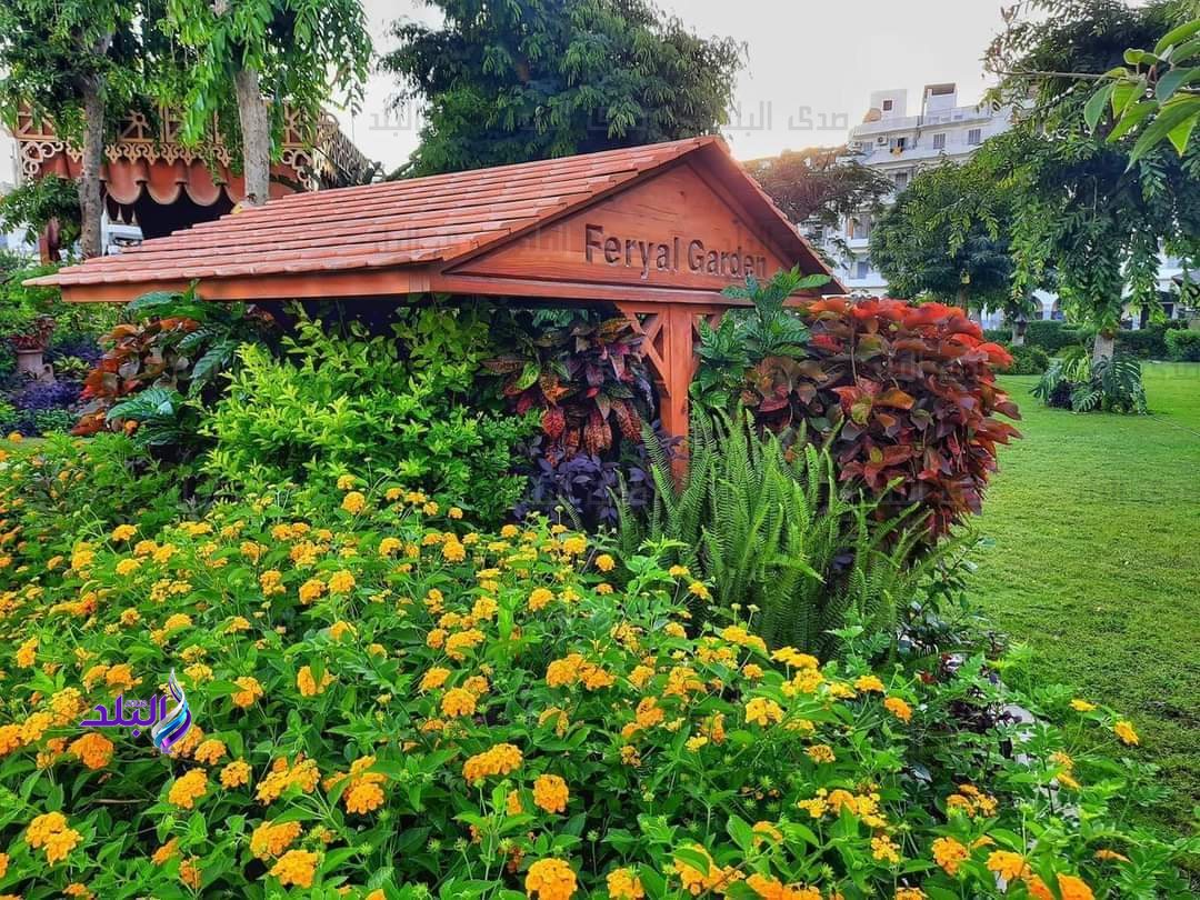 FB_IMG_1684399337085