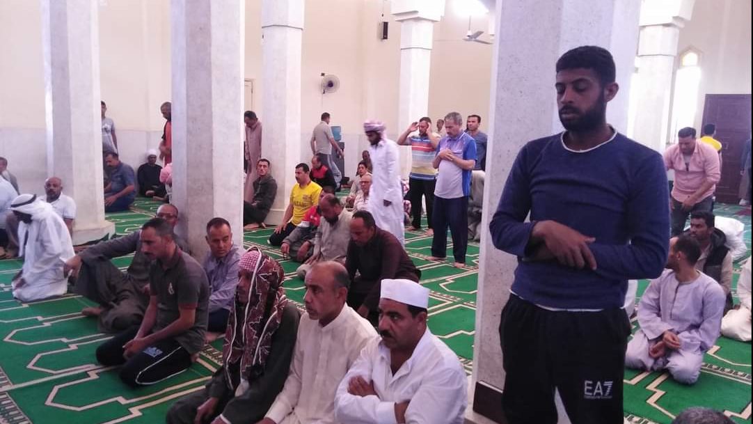 ندوات بمساجد  نخل حول أمراض الصيف 