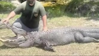  نزاع قاتل بين رجل وتمساح 