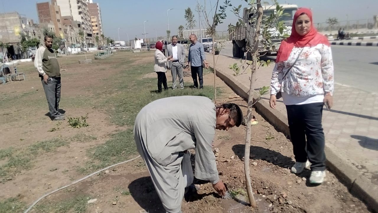 إستمرار فاعليات مبادرة زراعة 100 مليون شجرة بأسيوط 