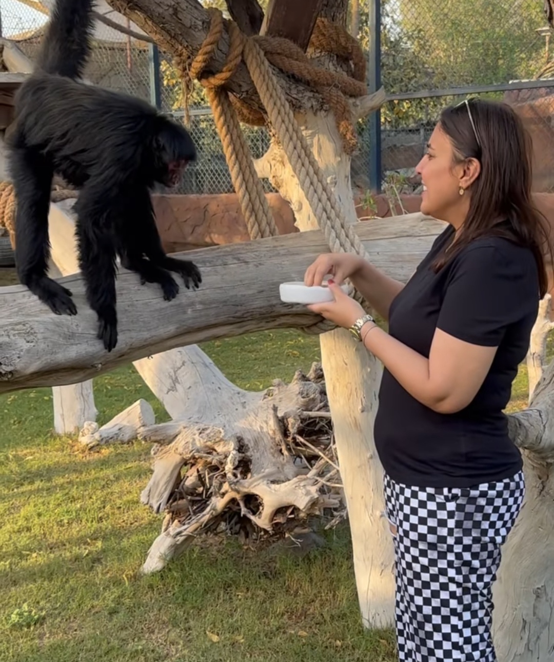 IMG_٢٠٢٣٠٥٢٠_١٧٢٤٤٣