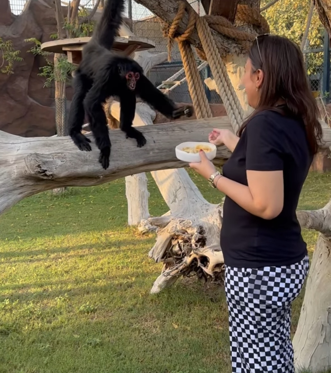 IMG_٢٠٢٣٠٥٢٠_١٧٢٤٢٠