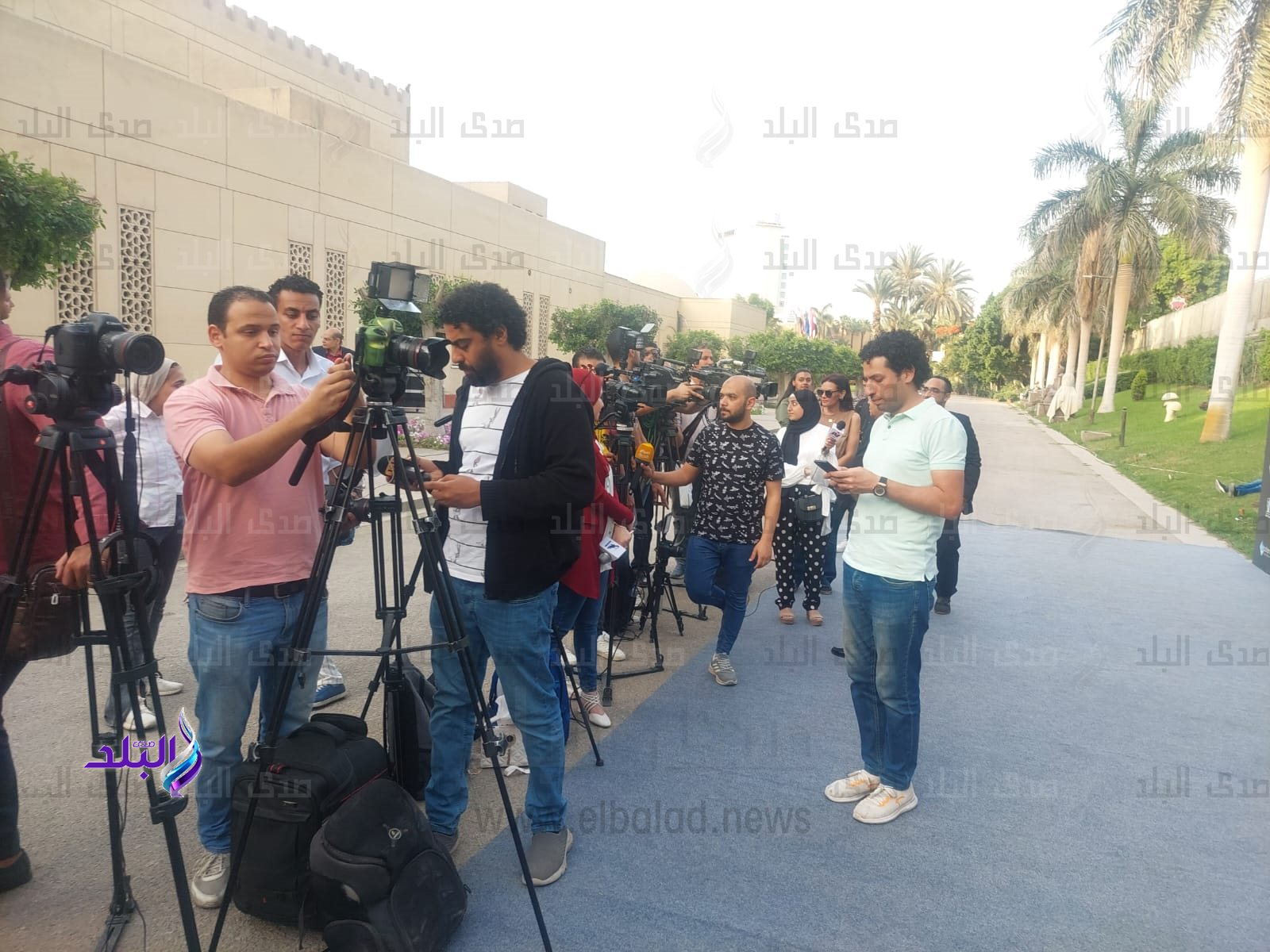 مهرجان جمعية الفيلم 