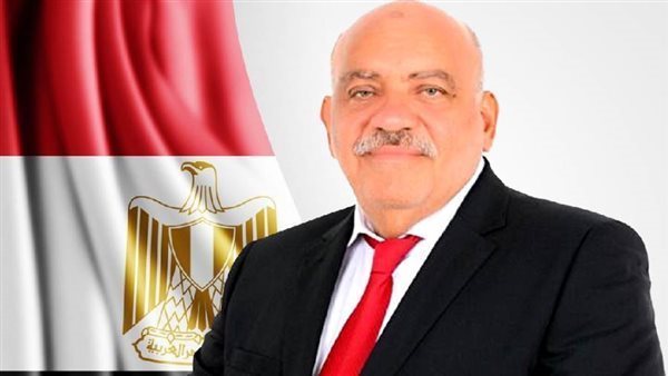 سيد حنفى طه عضو مجلس النواب 