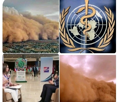 اخبار التوك شو 