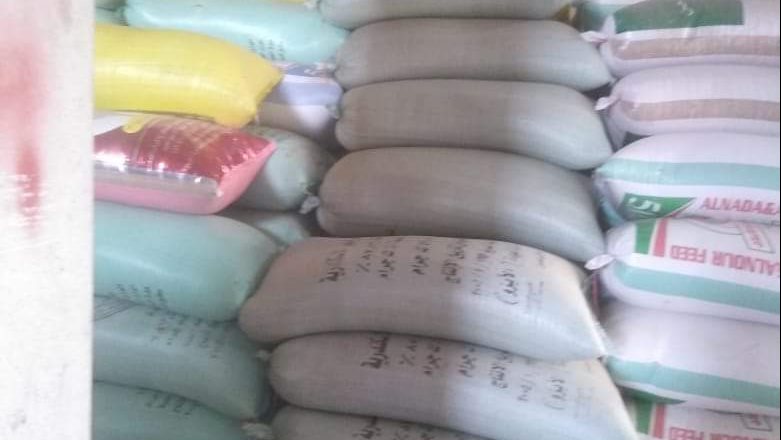 حملة تمونية