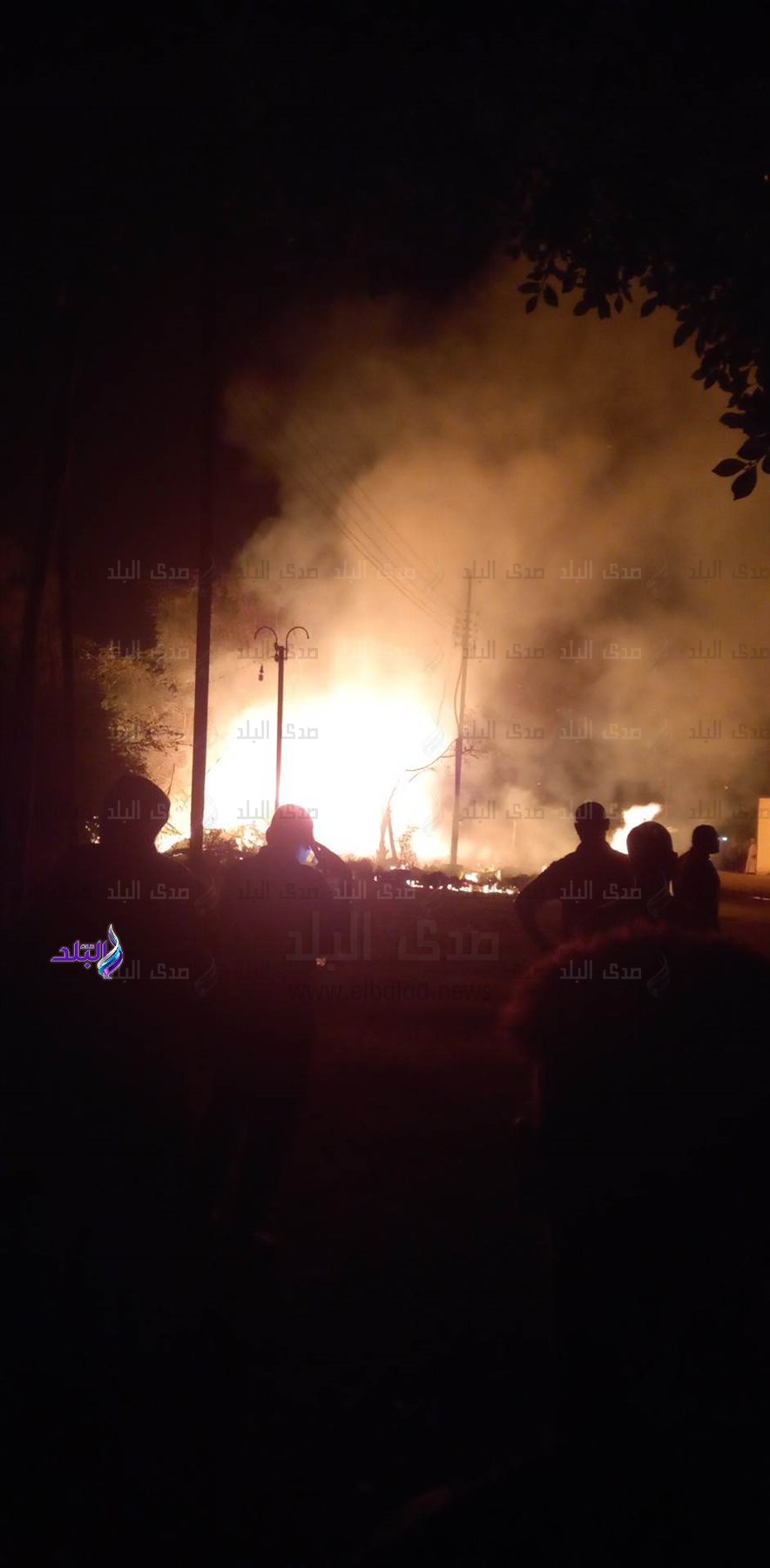 received_1288318871811476