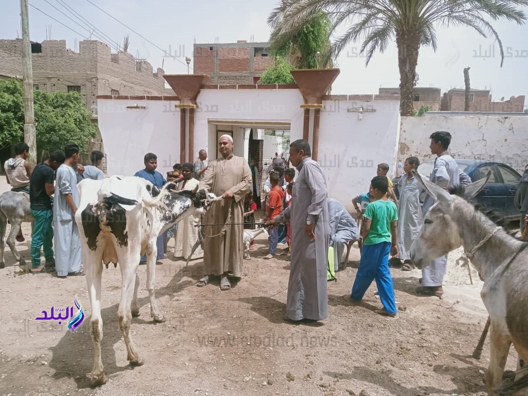 قافلة بيطرية بقنا 