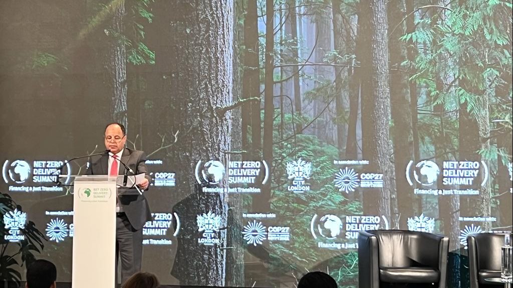 وزير المالية