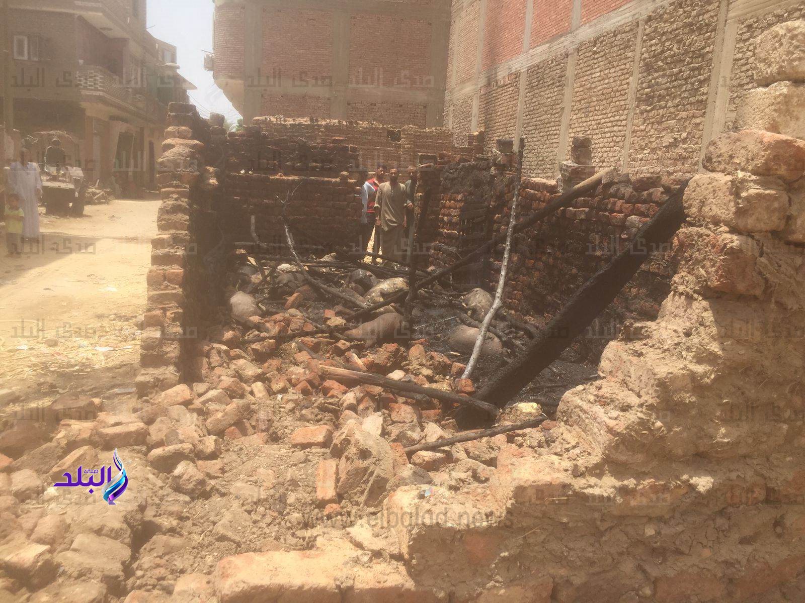 received_629374629210247