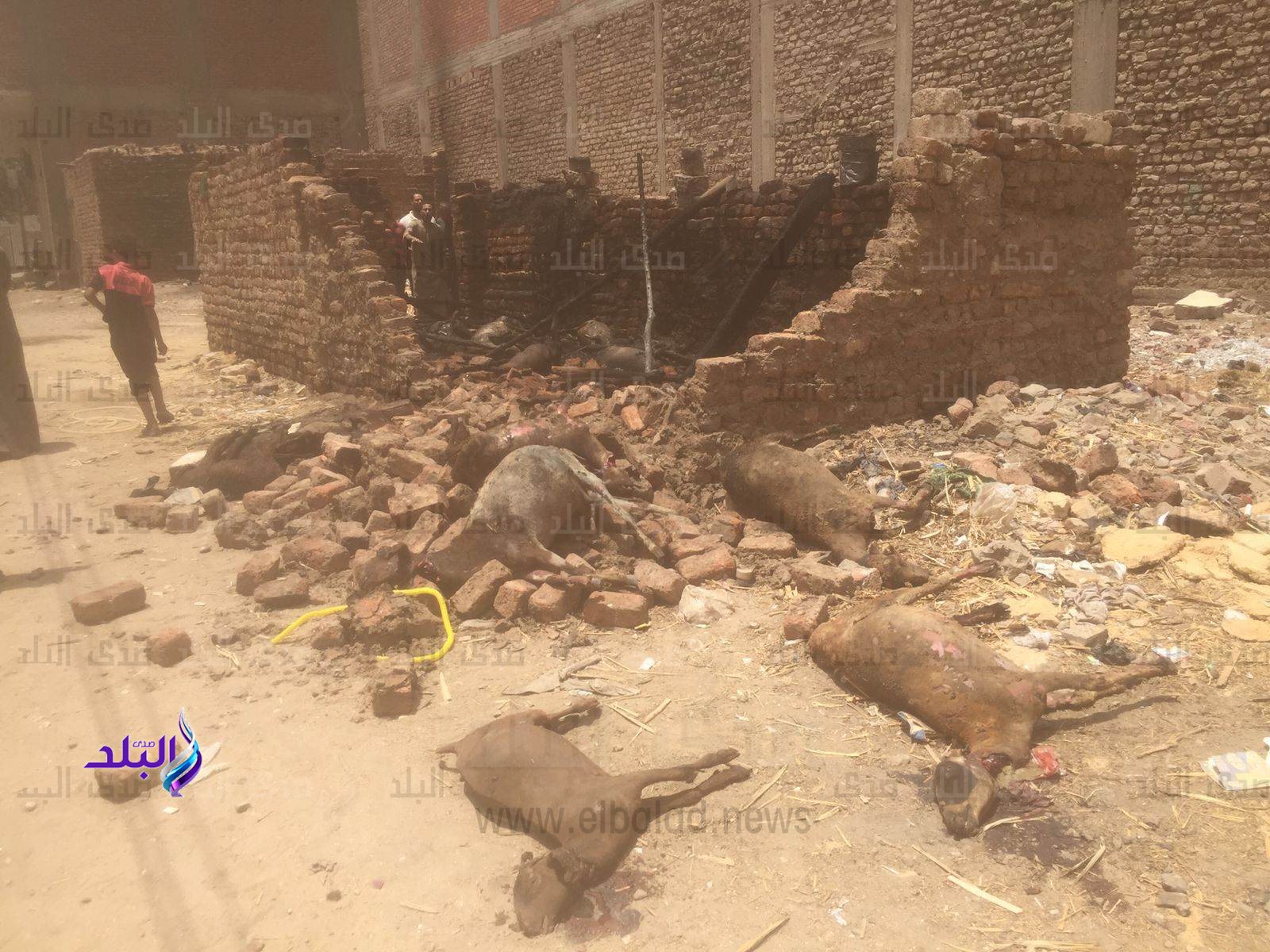 received_526526602854824