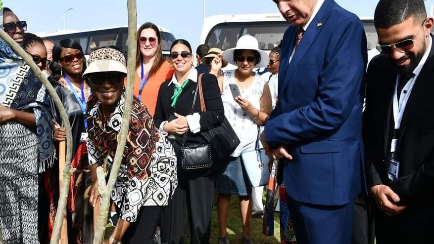 زوجات سفراء افريقيا 