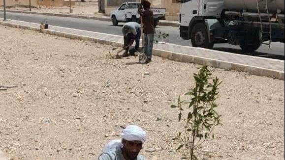حملة تشجير بشوارع نخل 