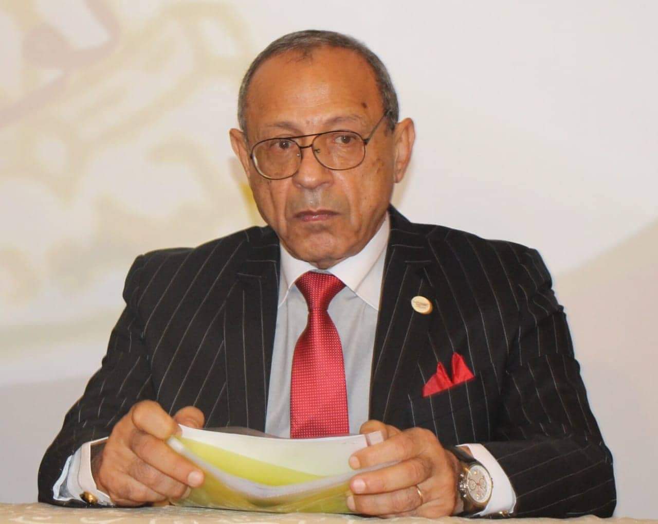رئيس حزب الحركة الوطنية المصرية