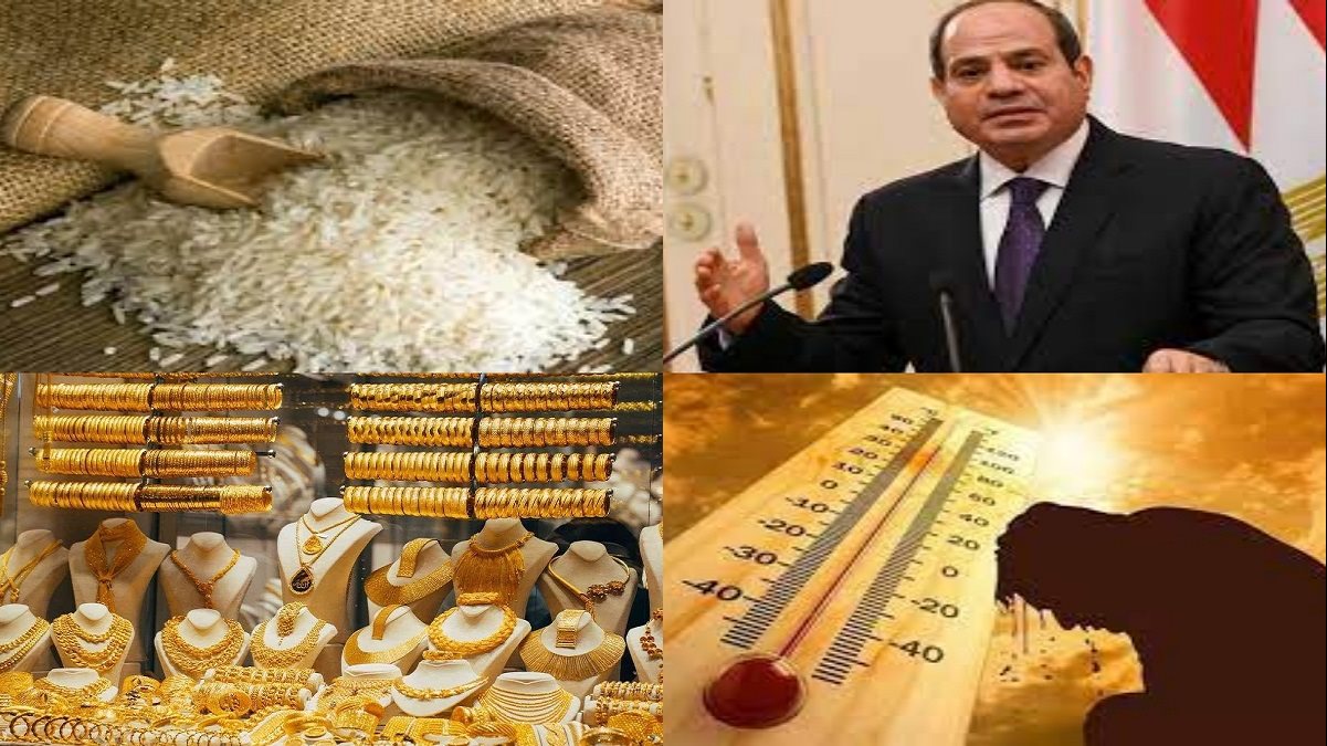 أخبار التوك شو