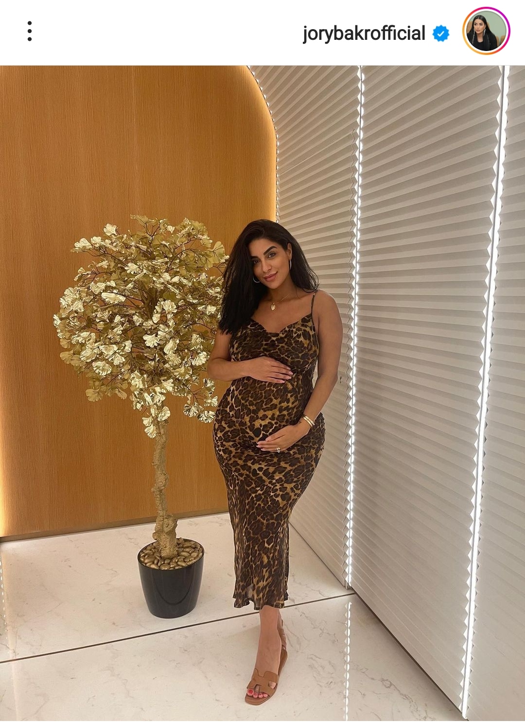 IMG_٢٠٢٣٠٥٢٧_١٦٥٠٥٠