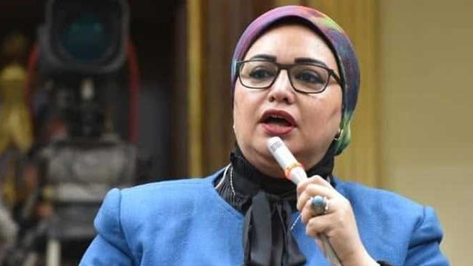  النائبة سولاف درويش وكيل لجنة القوى العاملة