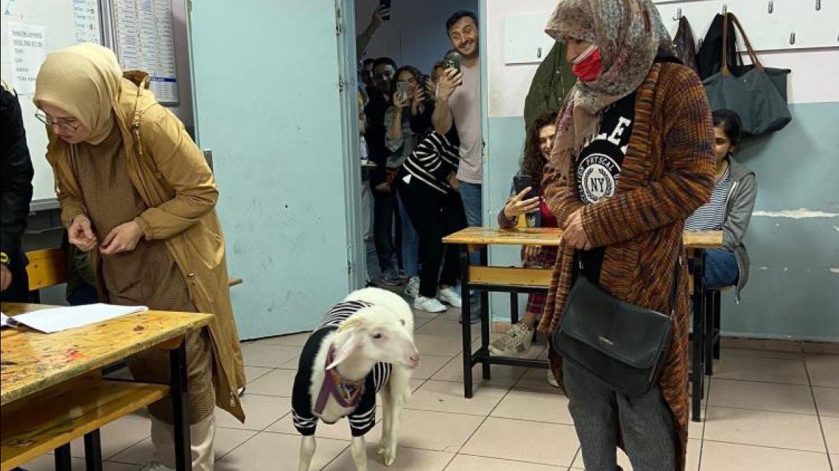  مواطنة تركية تصوّت بجولة الإعادة بانتخابات تركيا بصحبة ماعز