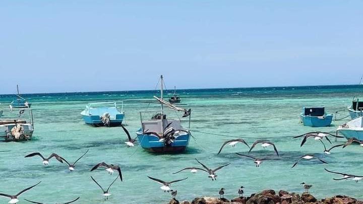 صورة موضوعية 