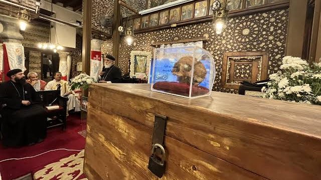 صندوق أسرار زويلة 