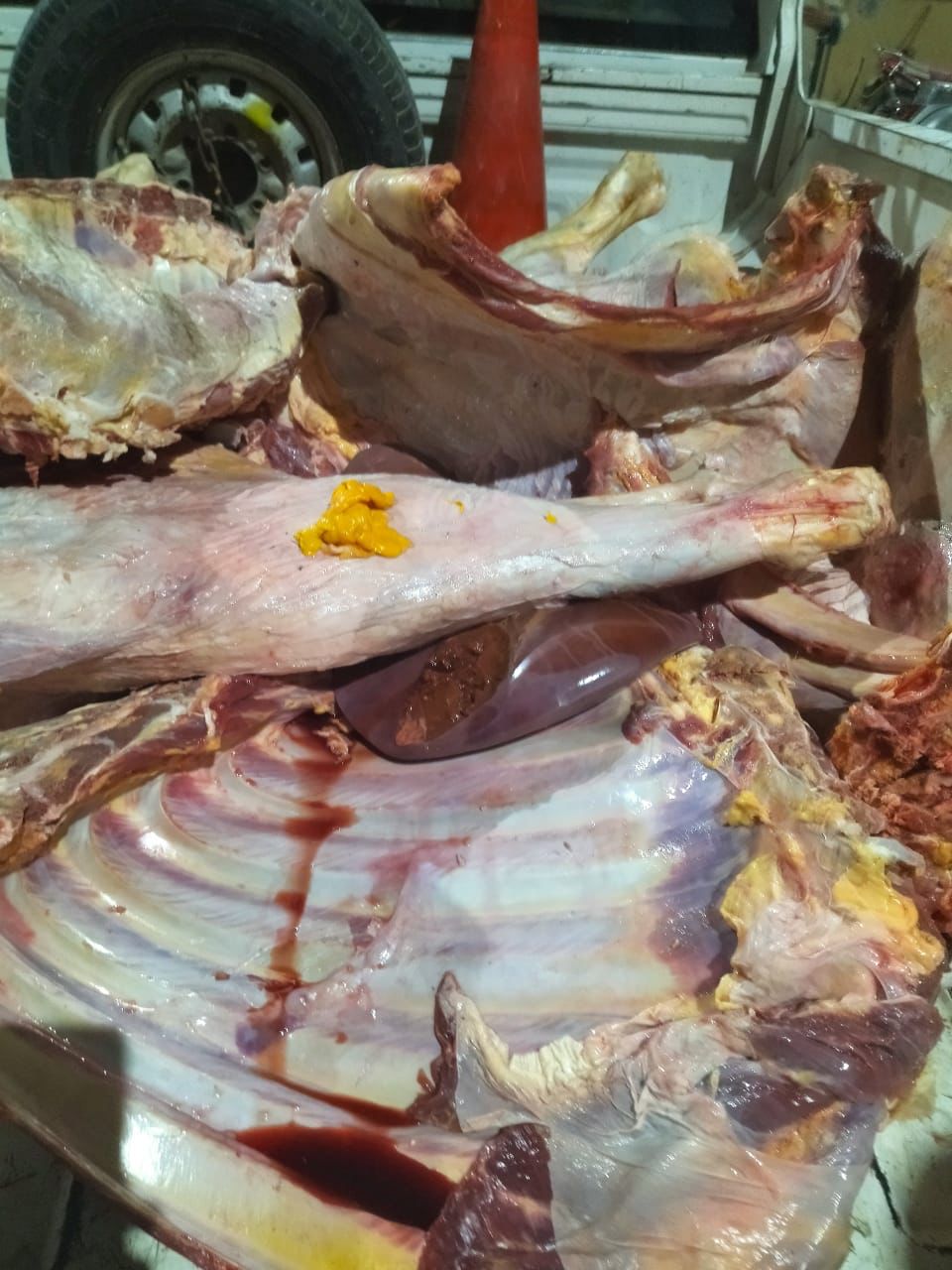 بعض اللحوم المضبوطه الغير صالحة للاستهلاك الادمى 
