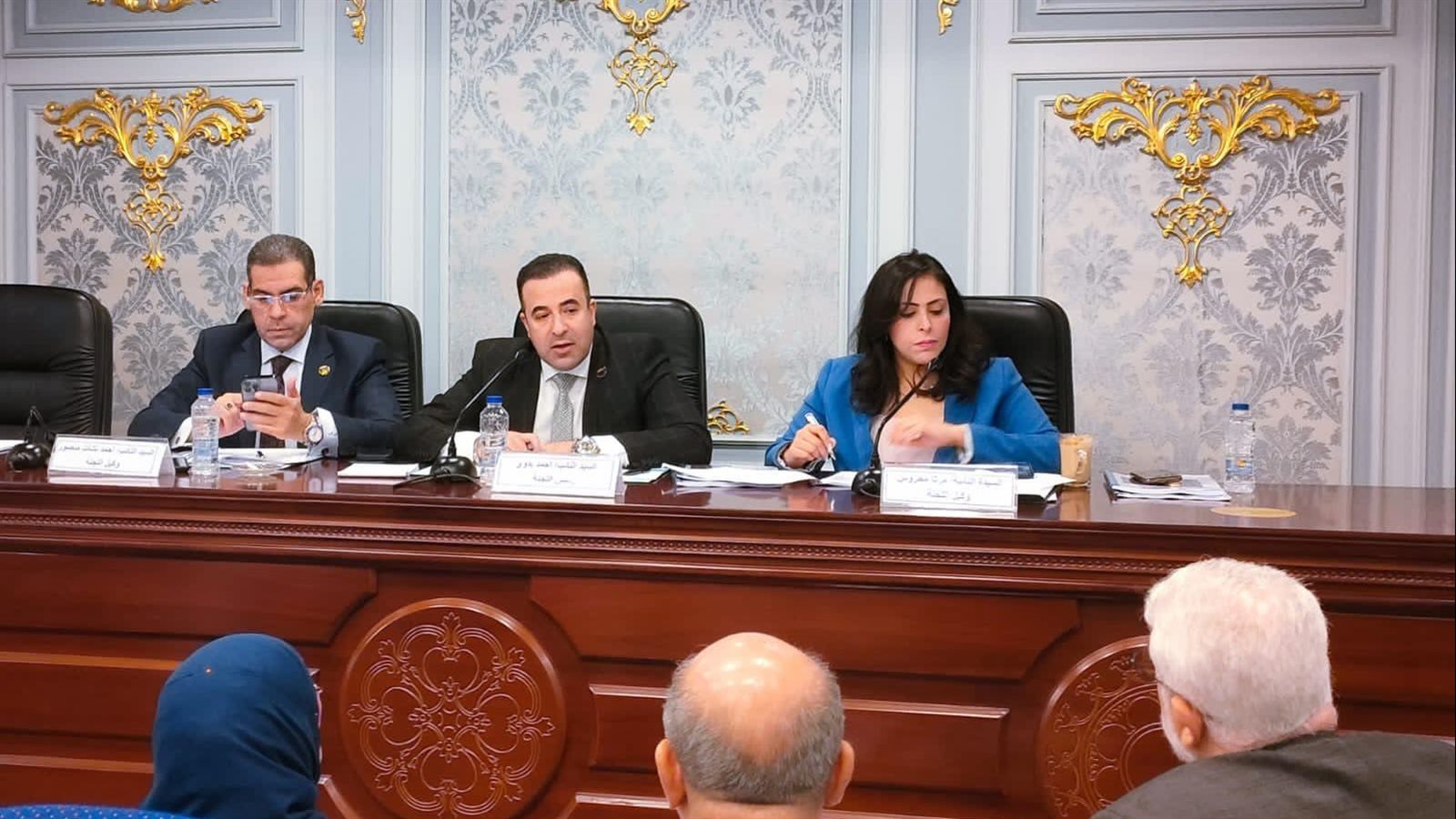 جانب من اجتماع اللجنة 