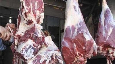 سعر كيلو اللحم 