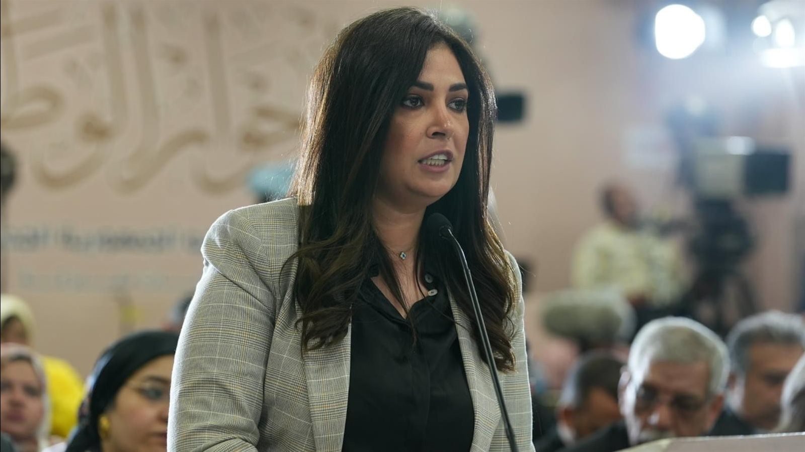 النائبة أميرة العادلي، عضو لجنة التعليم والبحث العلمي