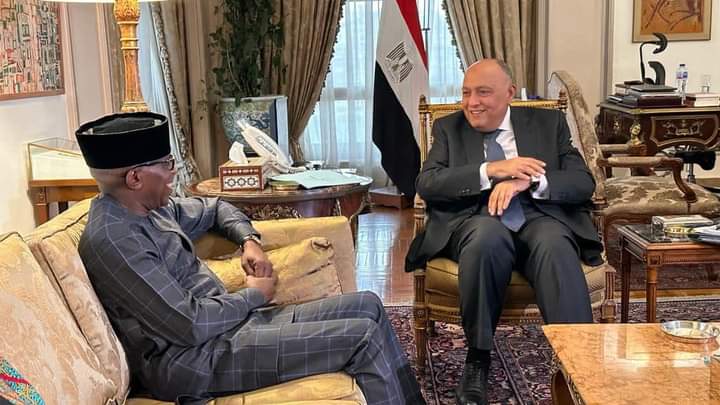 شكري يستقبل مفوض الشئون السياسية والسلم والأمن الافريقي