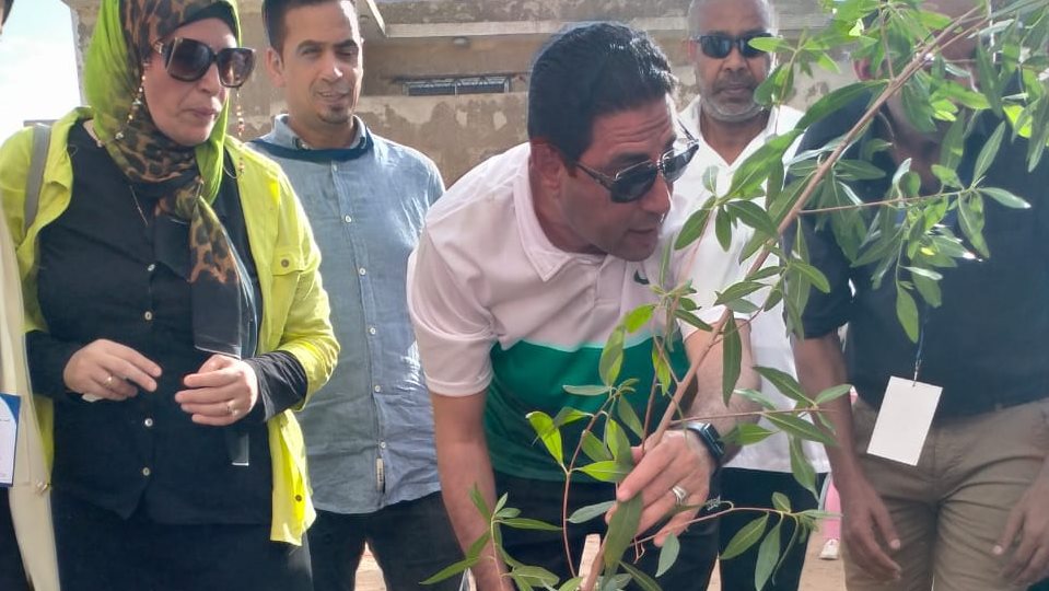 وكيل الشباب والرياضة بالجيزة يغرس أول شجرة مثمرة 