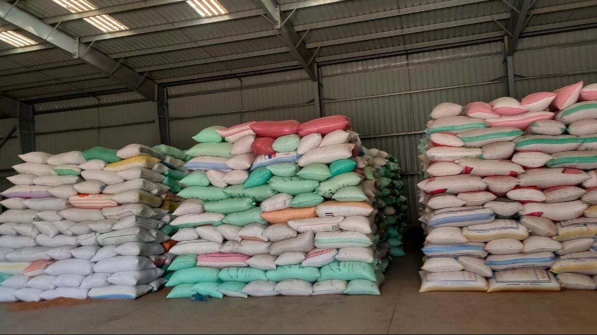 محصول القمح