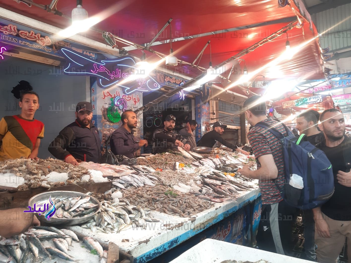 347230472_1886092608441175_3321463907967966694_n