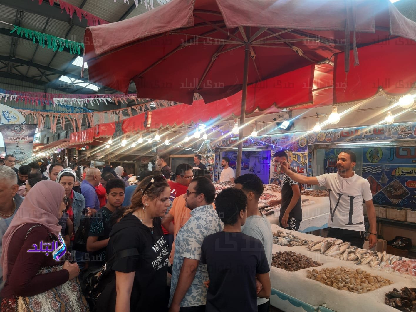 347233491_589477226323945_6823470398392150084_n