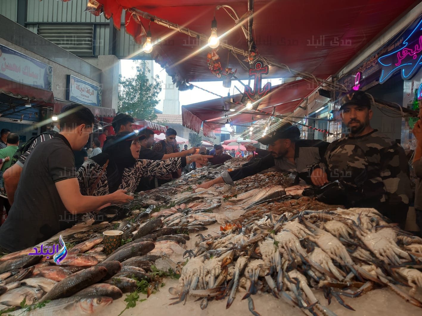 349303562_2126352984237880_3205965991032755234_n