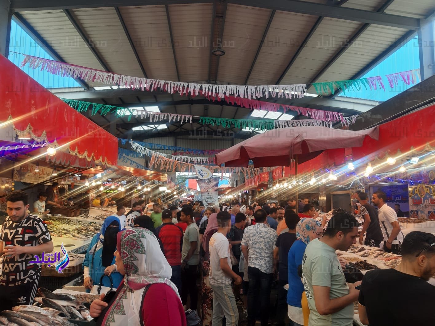 349318789_1322535628621754_7248250381040389449_n