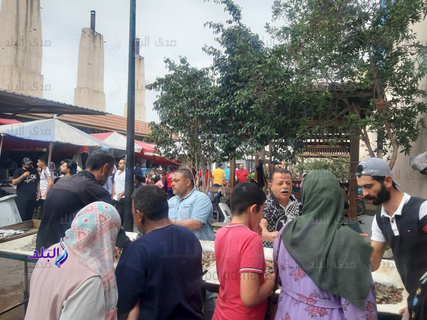 349561808_952194205907065_2006917730236067341_n - Copy