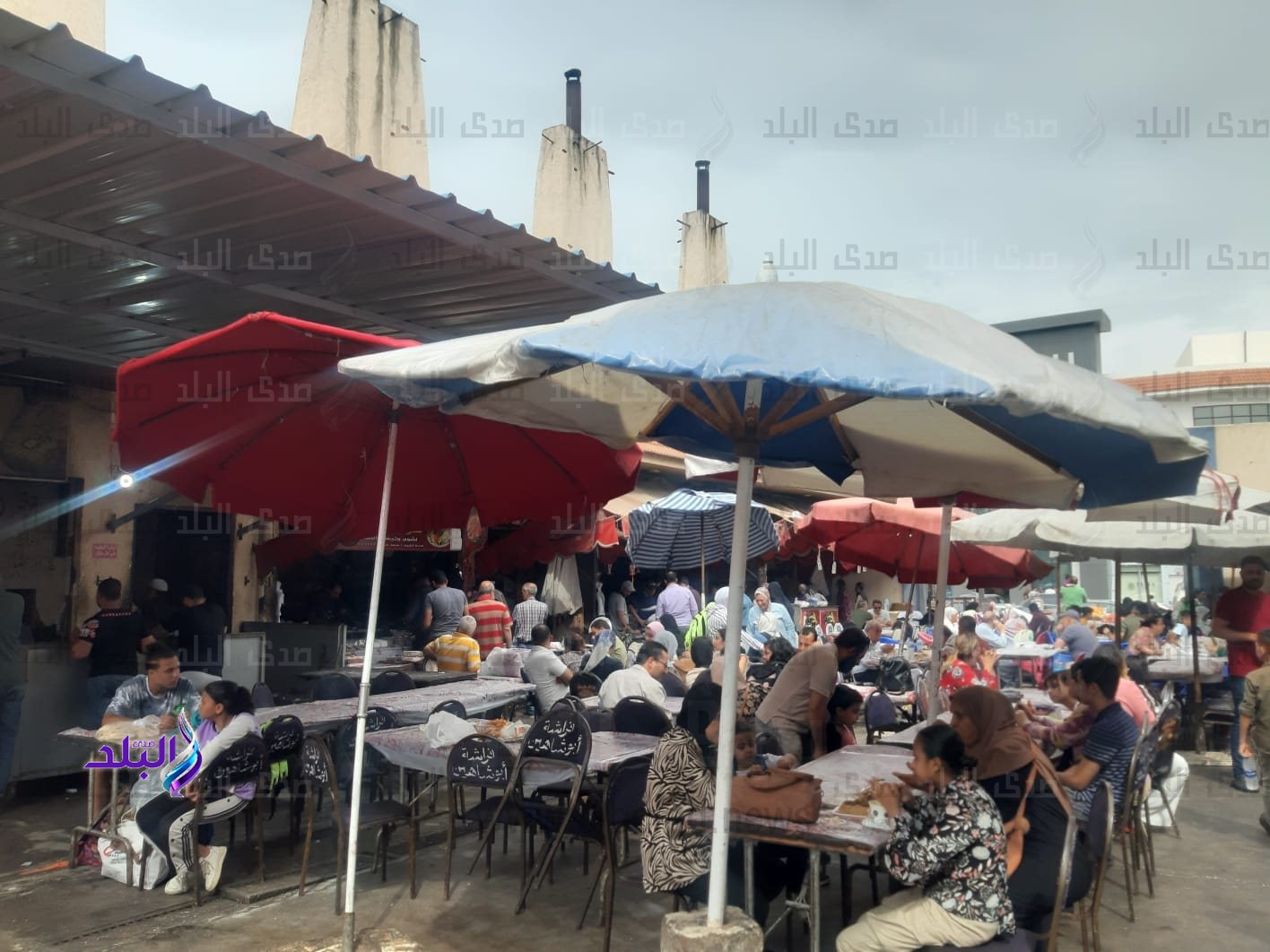 349670095_268000652285241_1647381565839892601_n