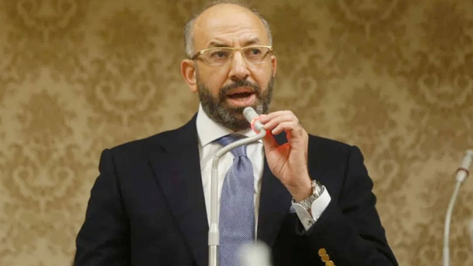 النائب حسام المندوه