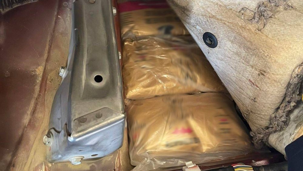 جانب من المضبوطات 