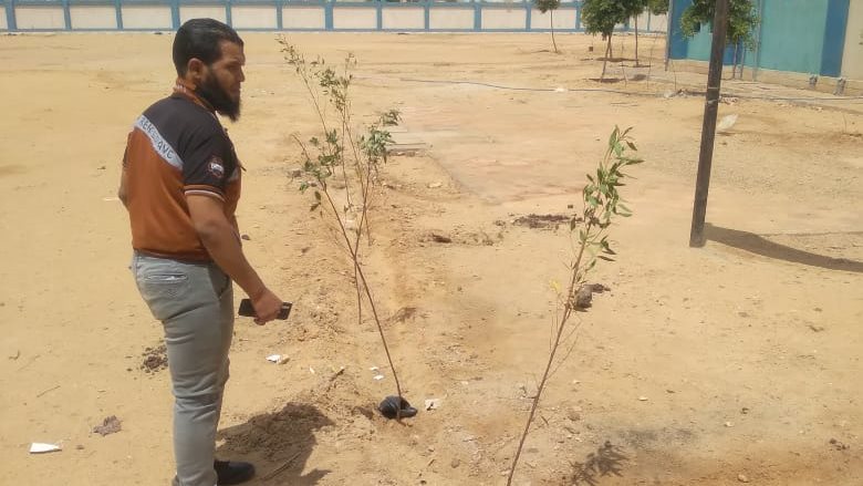 إستمرار أعمال التشجير وزراعة الشوارع بأسيوط 